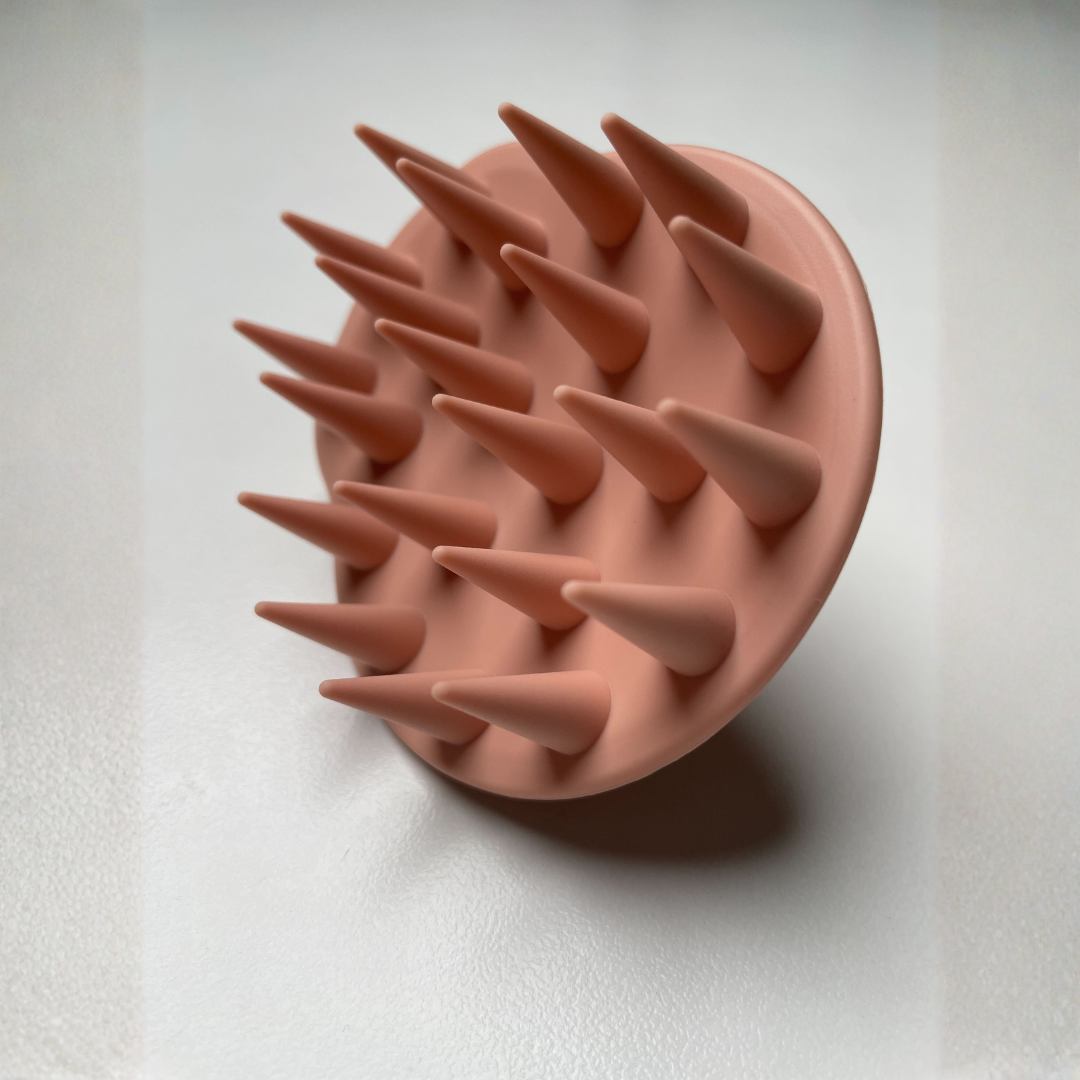 Brosse accélérateur de pousse